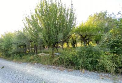 Teren de 1600 mp, în Central