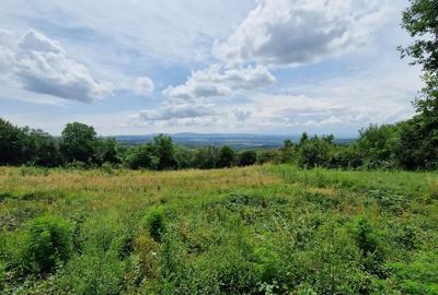 Teren Baia Sprie: 5143 mp, Parcelabil, Comision 0! - 5