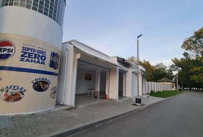 Spatii Comerciale trafic intens Teatrul de vara Neptun - 8