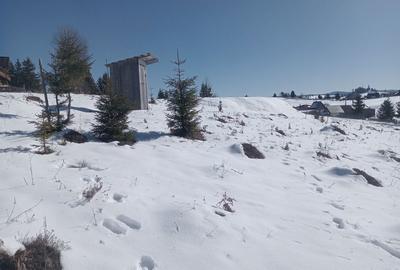 Spațiu comercial, în Piatra - 1