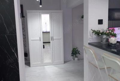 Apartament cu 2 camere semidecomandat, mobilat în Podgoria - 4