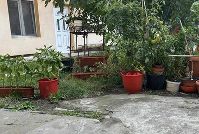 Vanzare Ap. 2 cam. , Zona P-ta Reconcilierii , Demisol , OFERTA - 3