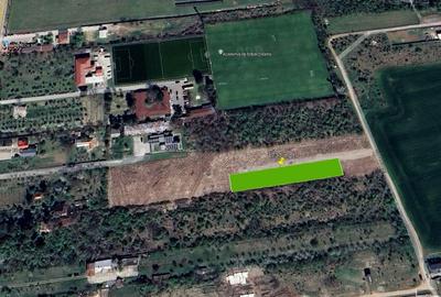 Teren Construcții intravilan de 1737 mp, în Săftica - 2