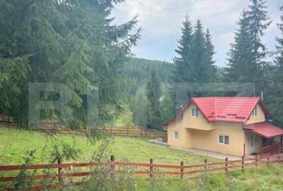 EXCLUSIV BLITZ ! Cabana in statiunea Muntele Baisorii - 4