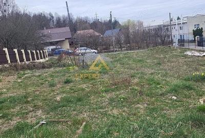 Teren de 700 mp, în Vest - 1