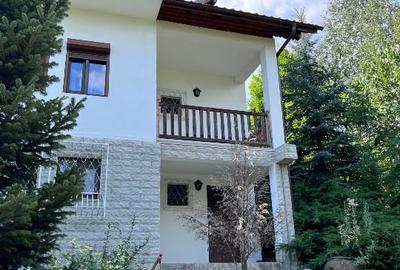 Vanzare 2 vile  tip -Duplex,  Valenii de munte, Drajna de Sus, Prahova - 8