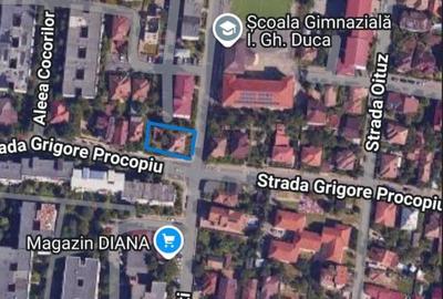 Spațiu comercial, în Nicolae Bălcescu - 1