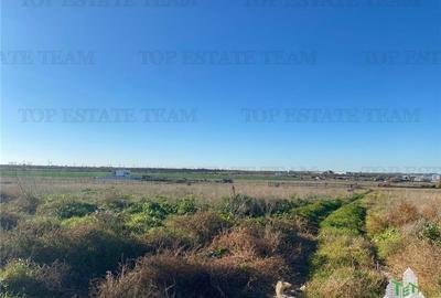 TEREN INTRAVILAN BOREAL - 2