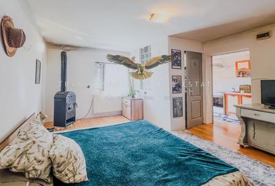 Pet friendly|Apartament primitor situat la vila in Andrei Muresanu - 5