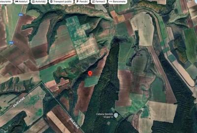 Teren de 18800 mp, în Deleni - 1