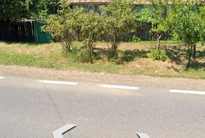 Teren de 10000 mp, în Valea Lupului - 1