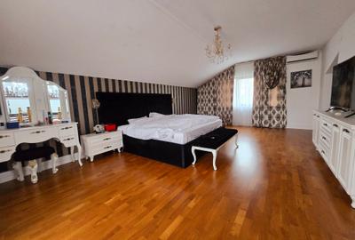 Vanzare proprietate - casa si terenValea Voievozilor Dambovita - 18