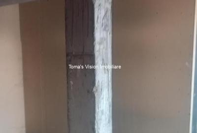 Vanzari Case / vile ILFOV - SUD 1 DECEMBRIE - 18