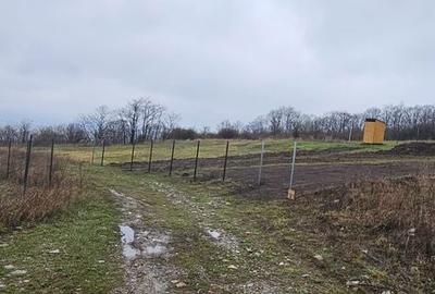 Teren de 656 mp, în Tomești - 4