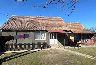 Casă cu Teren 11000 Mp în Cefa - 4