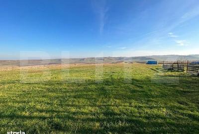 Spațiu comercial, în Lucăcești - 5