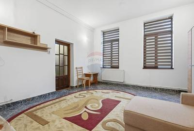 Apartament cu 1 camere decomandat, mobilat în Păcurari - 4