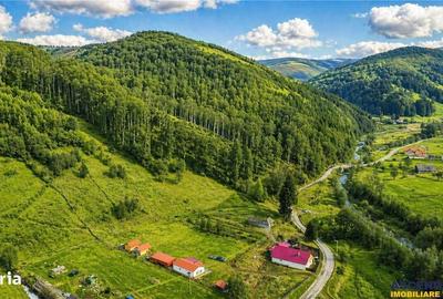 Casă cu 2 camere în Buzăiel - 6
