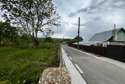 Casa + teren 4430 mp, vie si pomi fructiferi, 22 km de Tecuci - 4