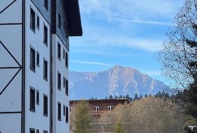 Apartament de vacanță pârtia CLĂBUCET - 4