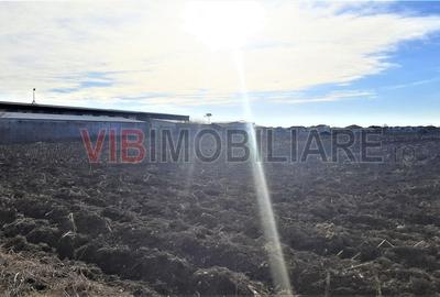 Teren intravilan de 28000 mp, în Odăi - 4