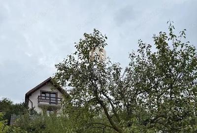 CASA INDIVIDUALA ZONA LINISTITA DEZMIR - 12