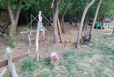 Domeniu, Afacere de vanzare, Sebe?, Alba, balta pescuit, ferma lavanda - 5