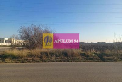 Săbăreni, teren intravilan 8800 mp, pe DJ 602, pretabil hale, depozite - 1