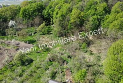 Teren de 1267 mp, în Băiculești - 4