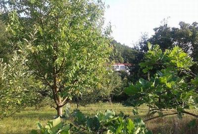 Teren de vanzare, ideal pentru Casa de vacanta/Hotel - 5