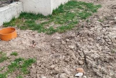 Spațiu comercial, în Mislea - 10