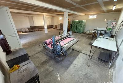 Spatiu comercial productie depozitare la 20 min de pitesti in poiana lacului - 4