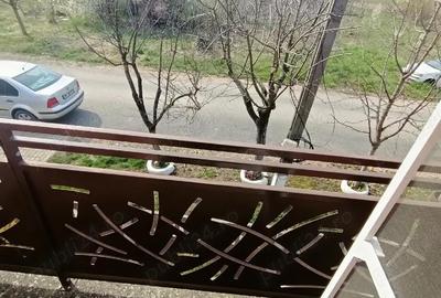 Casă cu Teren 359 Mp în Freidorf - 2