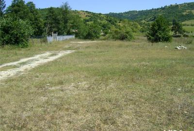 Spațiu comercial, în Eșelnița - 6