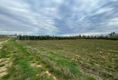 Teren intravilan de 1252 mp, în Piscu