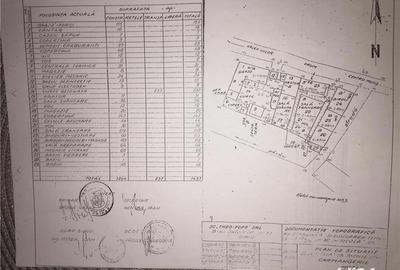 Spațiu comercial, de 2,300 mp, în Motiș - 3