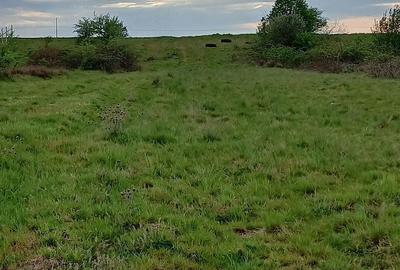 Teren de 1400 mp, în Cârțișoara - 4