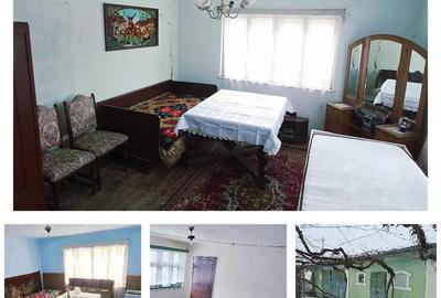 Casă cu 3 camere cu Teren 2500 Mp în Central - 3