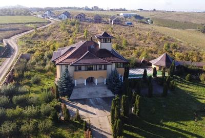 Proprietate Unica de Vanzare in Visani, Iasi - Resedinta si Investitie Turistica