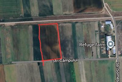 Teren de 7600 mp, în Vetiș - 6