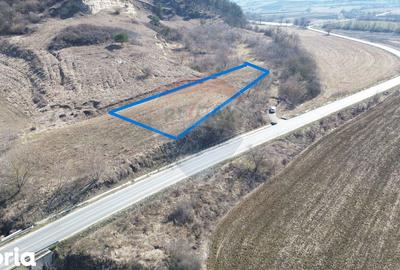 Teren de 2000 mp, în Moșna - 1