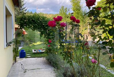 Casa renovata integral - Suceagu, com. Baciu  | Teren 1950 mp - 13