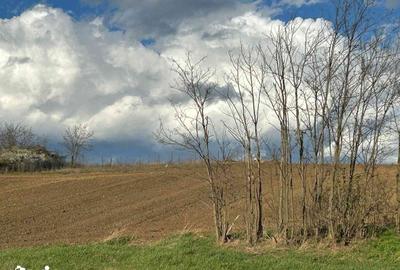 Teren de 430 mp, în Rediu - 5