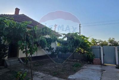 Casa de vanzare in Graniceri aproape de Arad - 13