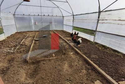 Casă cu 3 camere cu Teren 1400 Mp în Theodor Pallady - 8