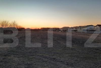 Teren extravilan, 13726 mp, zona Mehala - 1