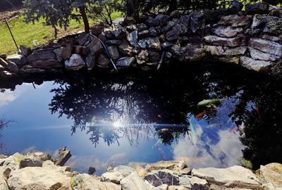 Casă individuală cu 5 camere cu Canalizare în Berceni - 6