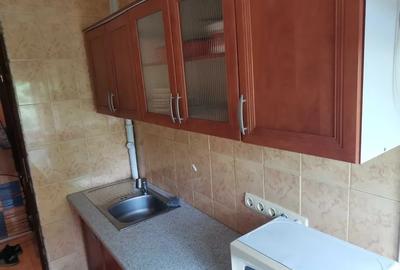 Inchiriere Apartament 2 Camere Petfriendly Piata Resita - 6