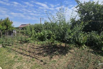 Casă cu 6 camere cu Teren 1042 Mp în Central - 8