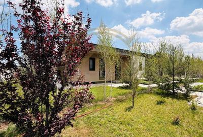 Casă cu 4 camere cu Teren 500 Mp în Corbeanca - 6